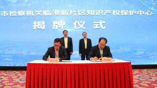 12支专业办案团队入驻上海，深化金融、走私、知识产权等领域执法服务